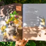 Drucksorten, Folder, Gutschein, Wanderkarte - by Lichtgrün - Linda Mayr Mondsee